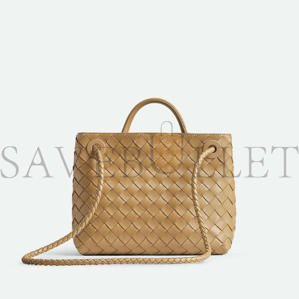 BOTTEGA VENETA SMALL ANDIAMO (25*20*10cm)